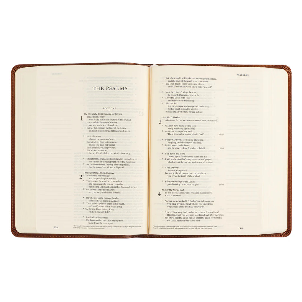 Hosanna Revival ESV Single Column Journaling Bible: Sierra Theme