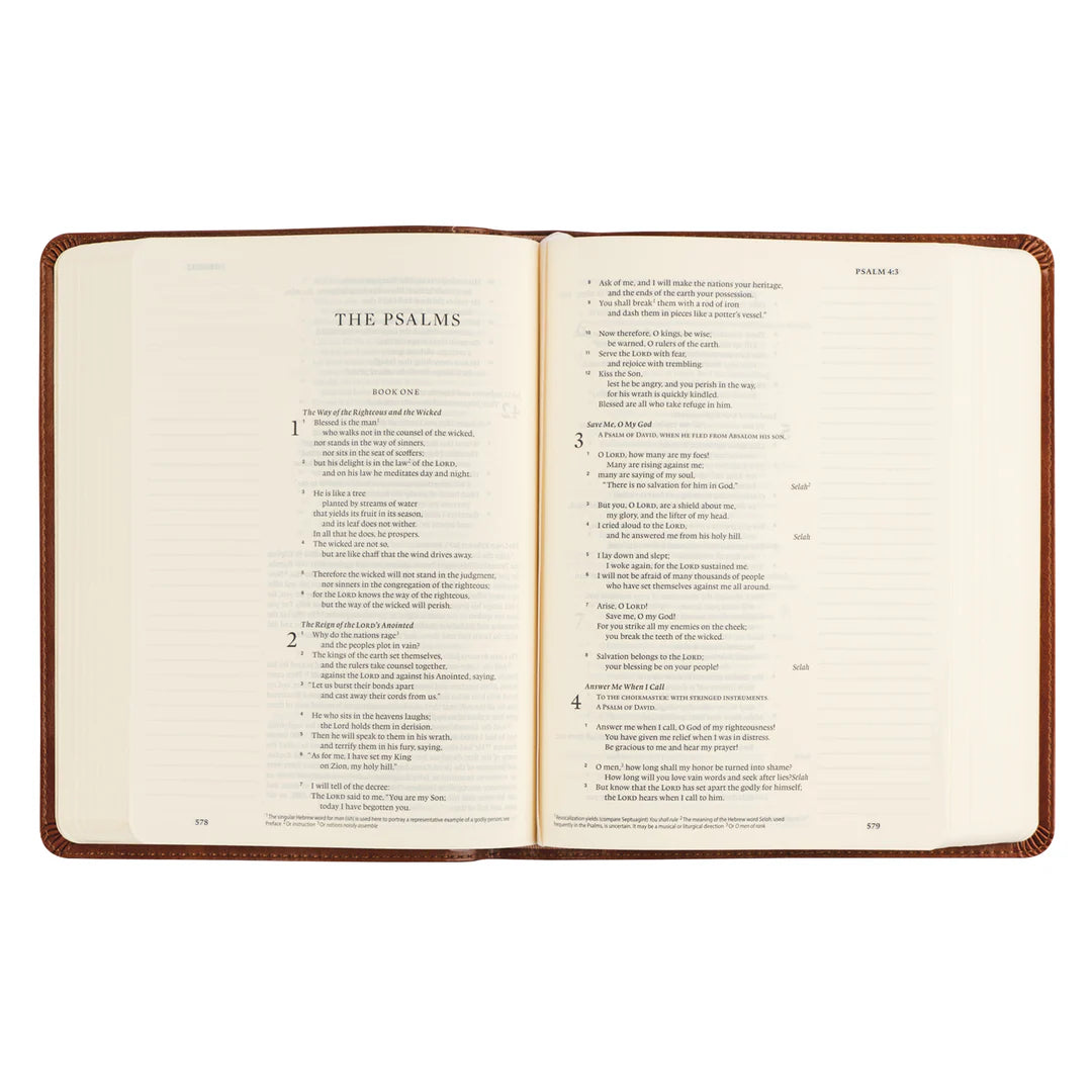 Hosanna Revival ESV Single Column Journaling Bible: Sierra Theme