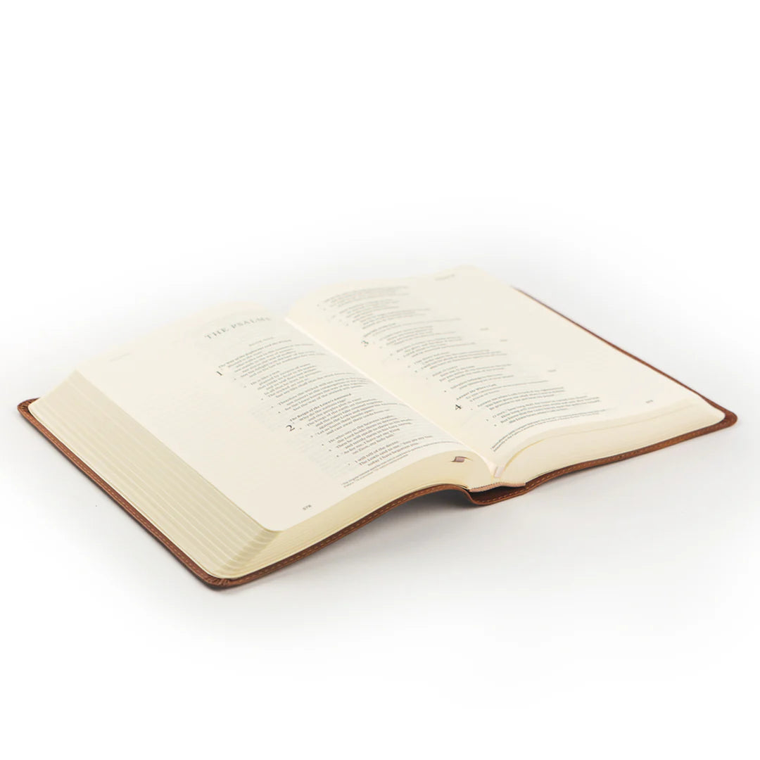 Hosanna Revival ESV Single Column Journaling Bible: Sierra Theme